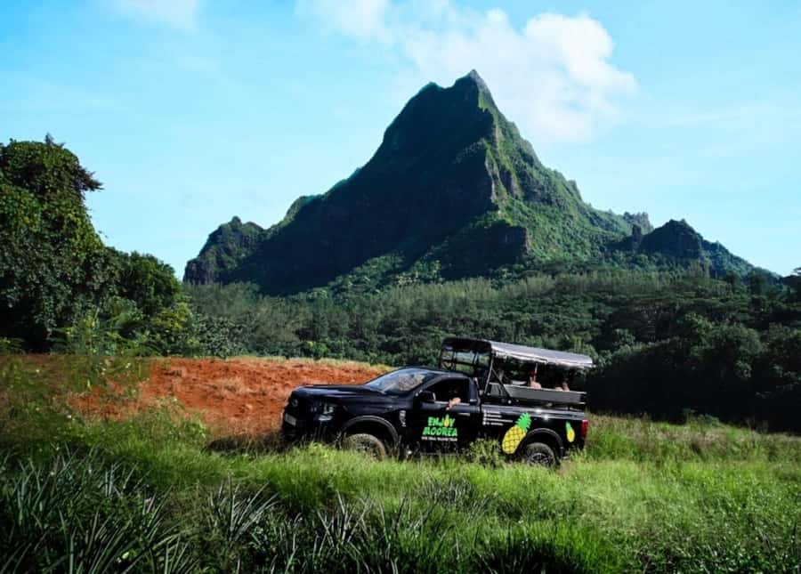 Moorea: Island Tour with Waterfall Hike and Lunch - Pineapple Fields Bring Moorea’s Farming Life into View