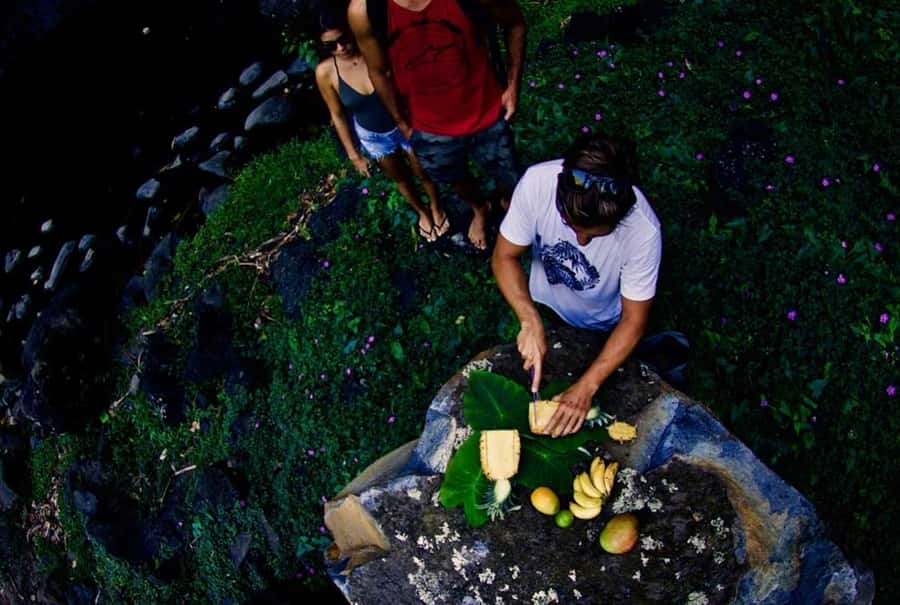 Moorea: Island Tour with Waterfall Hike and Lunch - Tropical Garden and Vanilla Offer a Closer Look at Local Plants