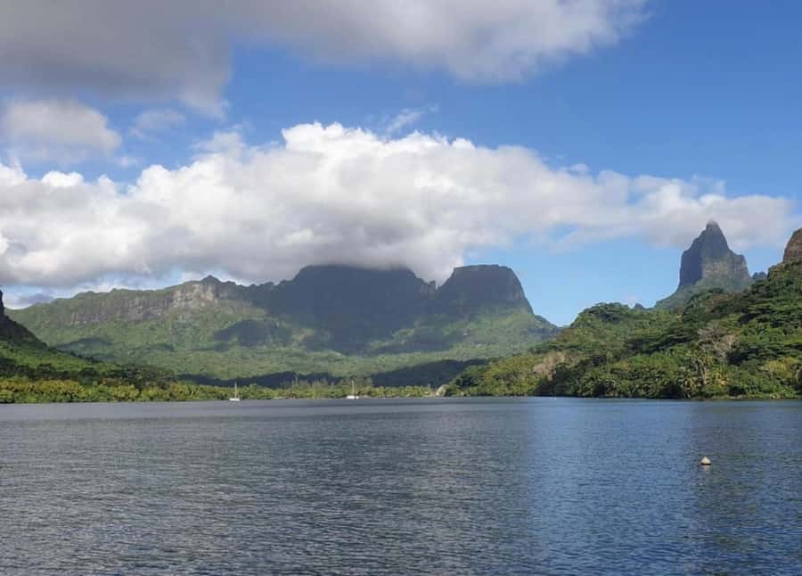 Moorea: Lagoon and Reef Snorkeling Tour with Drinks - Searching for dolphins and exploring a coral garden