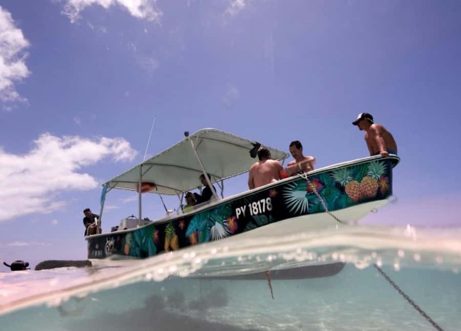 Moorea: Lagoon and Reef Snorkeling Tour with Drinks - The islet stop, drinks, and lunch choice