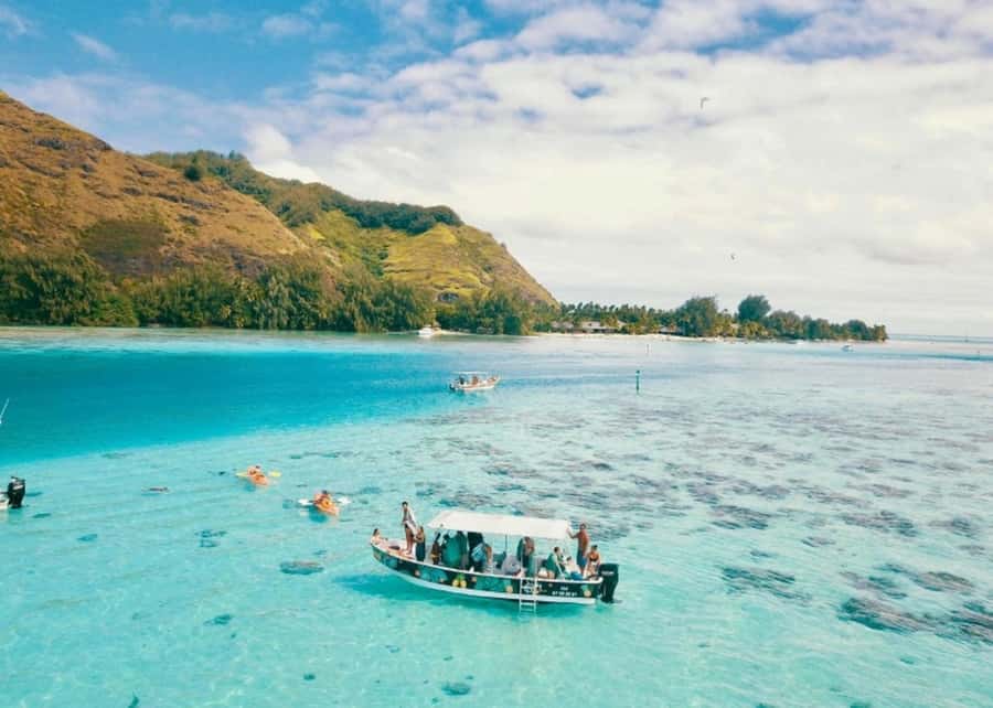 Moorea: Lagoon and Reef Snorkeling Tour with Drinks - Turtle country in the calmer lagoon