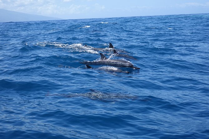 Moorea Private Boat Tour / Sea Scooter Snorkeling Tour - Taking the boat into Moorea’s lagoon