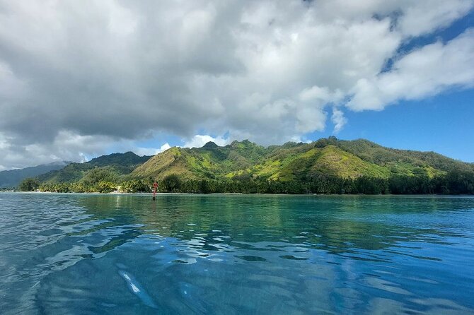 Moorea Private Full Day Tour - Maharepa for village life and pearls