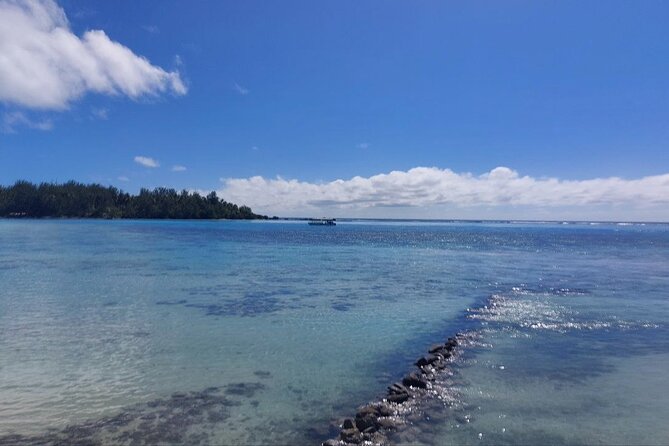 Moorea Private Full Day Tour - Mt. Rotui, juice, rum, and local flavor
