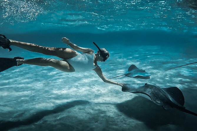 Moorea: Private Snorkeling Tour with Certify Guide - Key points at a glance