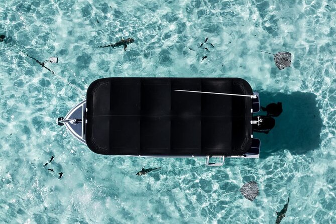 Moorea: Private Snorkeling Tour with Certify Guide - A boat designed for comfort, not just transport
