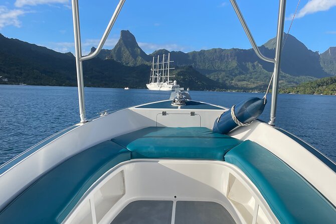 Moorea: Private Snorkeling Tour with Certify Guide - Tiahura: two hours among coral and sea life