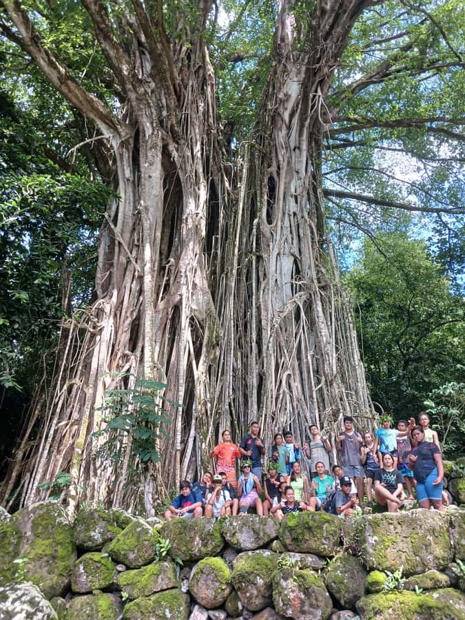 Moorea : Safari Nature and Culture Tour with local guide - Missionary history adds another layer