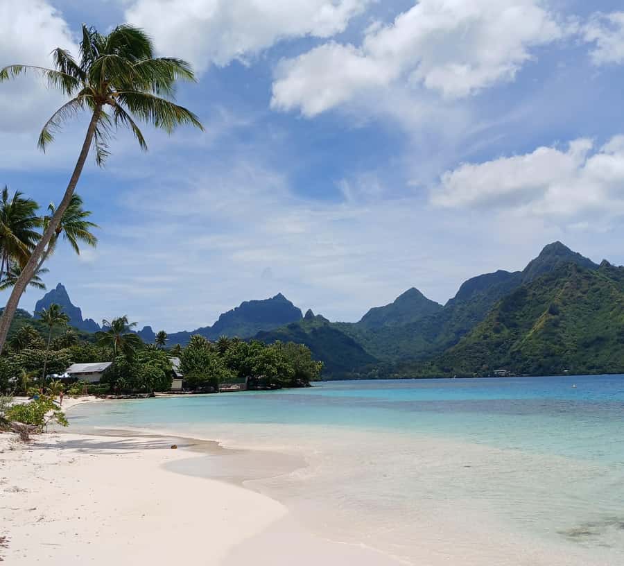Moorea : Safari Nature and Culture Tour with local guide - The distillery tasting finishes the morning on an easy note
