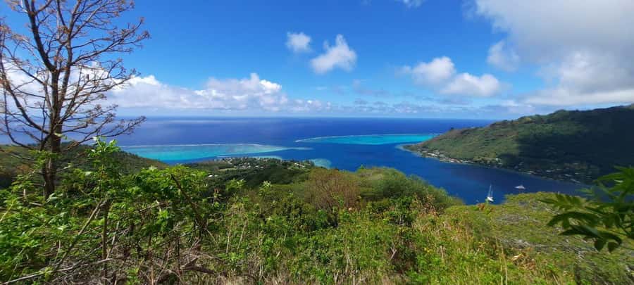 Moorea : Safari Nature and Culture Tour with local guide - Toatea Lookout begins with the postcard view