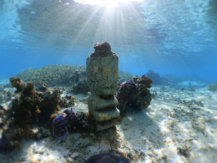 Moorea: Sea Scooter Snorkeling Tour - Coral gardens and the first underwater views