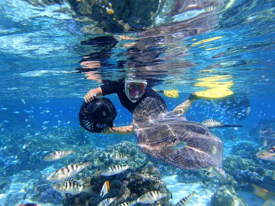 Moorea: Sea Scooter Snorkeling Tour - What the $167 price includes
