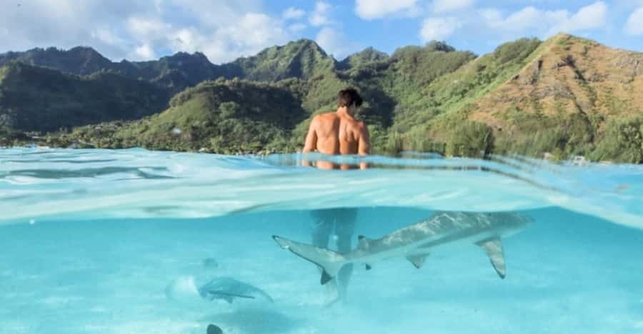 Moorea: Small Group Snorkeling Tour with local guide - Who will enjoy this tour most?