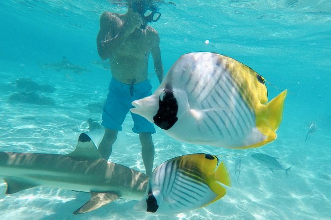 Moorea Solo or Twin 3 hours Jet Ski Tour - What the ride feels like for beginners