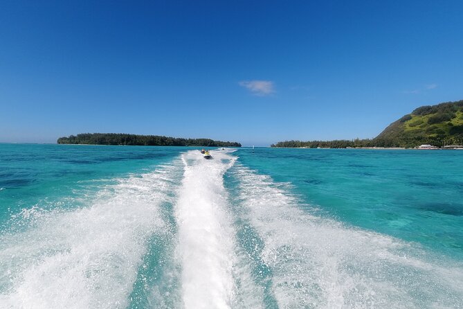 Moorea Solo or Twin Island Tour Jet Ski 4 hours - Marine life: rays, sharks, turtles, and dolphins