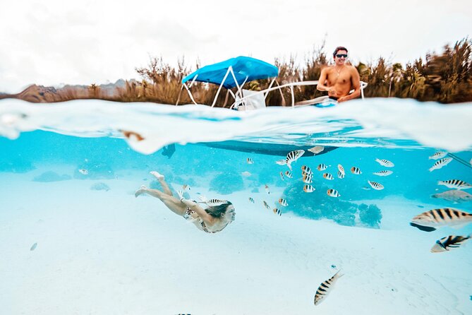 Moorea Sunset Boat Tour - Is $170.05 a fair price?