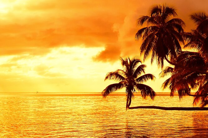 Moorea Sunset Boat Trip - Who Should Book This Moorea Sunset Cruise?