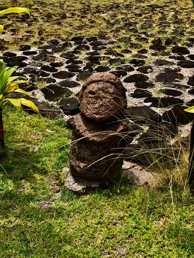 Must-Do : Nature, Culture & Moments Uniques – MirimirI Tours - Faaroa River and the natural side of Raiatea