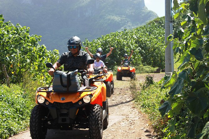 NEW!!! ATV TOURS with a local tour guide from Bora Bora - Amanahune Plateau and Bora Bora’s famous shades of blue