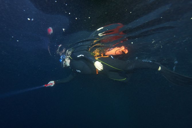Night Snorkeling - What the Included Gear Means