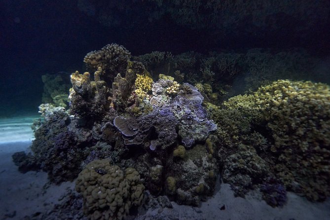 Night Snorkeling - Weather, Cancellations, and Simple Planning