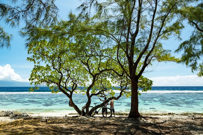 Papeete Market Place - The schedule and cancellation risk