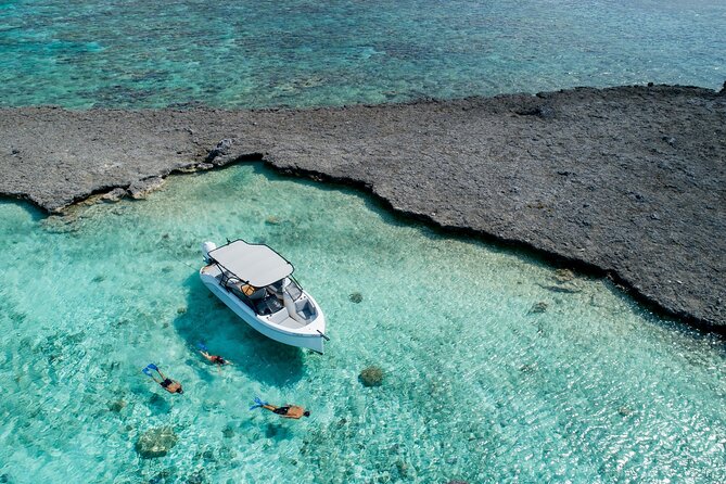 Private 4 Hours Reef Discovery Luxury Private Treasure Hunt in Bora Bora - Key points for families planning the outing