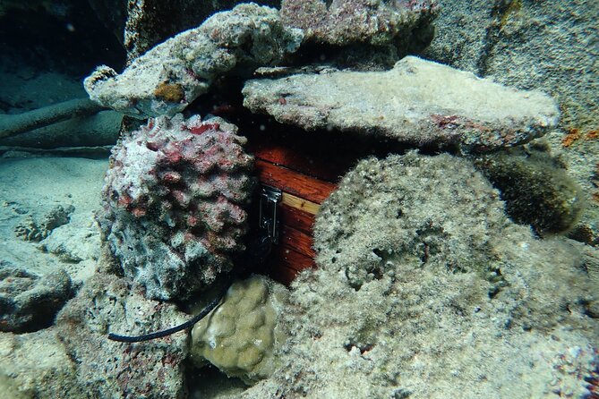 Private 4 Hours Reef Discovery Luxury Private Treasure Hunt in Bora Bora - Why the treasure hunt works so well in Bora Bora