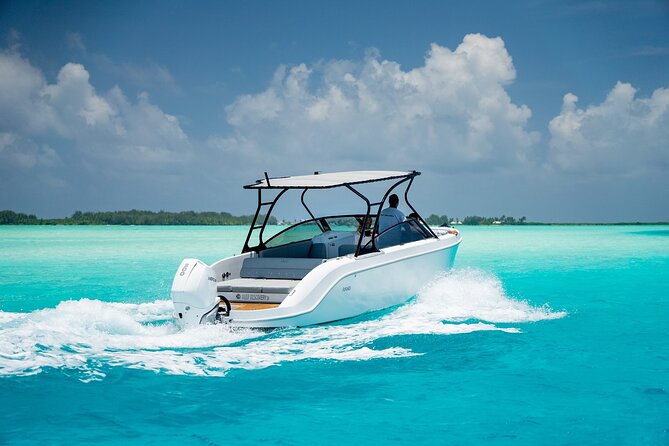 Private 4 Hours Reef Discovery Luxury Private Treasure Hunt in Bora Bora - The coral garden and tropical fish