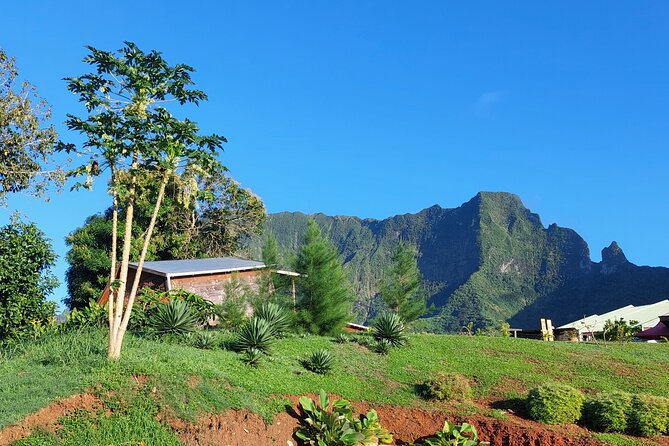 Private and guided visit to Mystery House Raiatea - Key points about Mystery House Raiatea