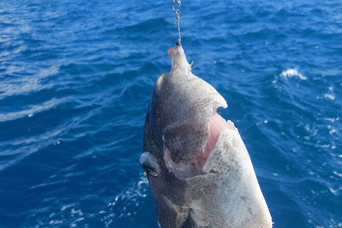 Private Big Game Fishing Tour in Raiatea - Weather, cancellation, and practical planning
