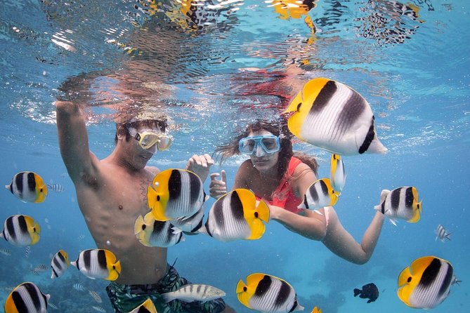 Private Boat Rental on Cap Camarat 17ft - Cruising the Bora Bora circle island route