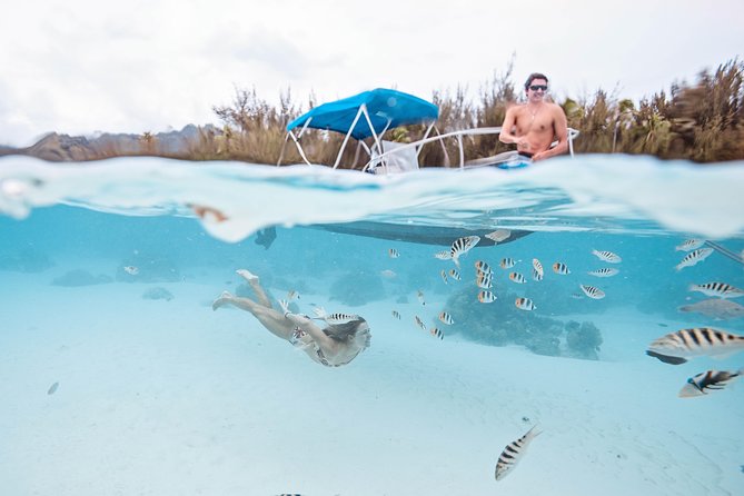 Private Boat Tour of Moorea Lagoon - Photos That Add Real Value
