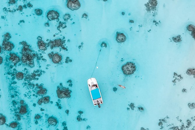 Private Boat Tour of Moorea Lagoon - Fruit, Juice, and Island Stories
