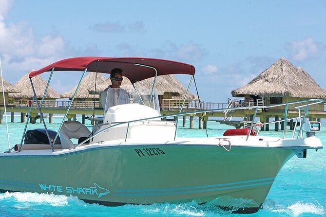 Private Bora Bora Lagoon Experience - Coral gardens reward a careful guide