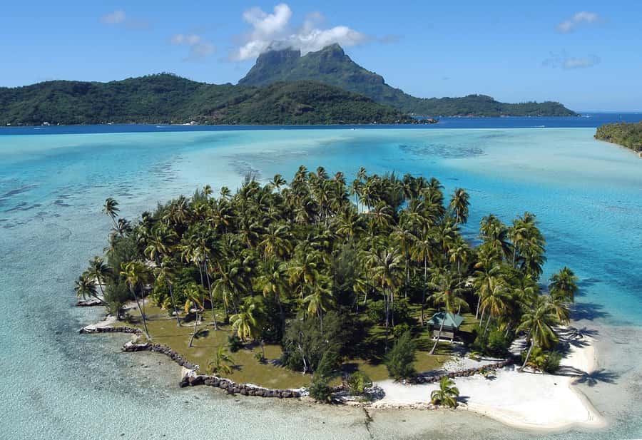 Private Bora Bora Lagoon Snorkel Cruise with BBQ Picnic - Coral gardens and tropical fish