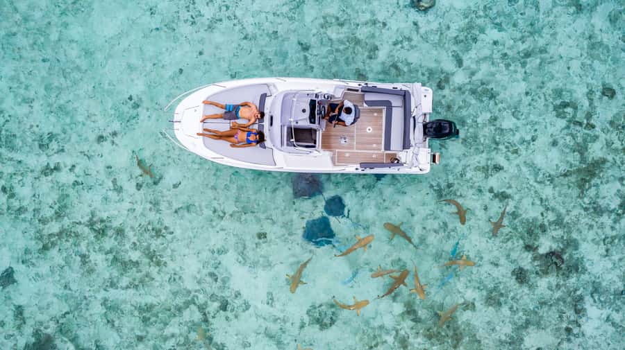 Private Bora Bora Lagoon Snorkel Cruise with BBQ Picnic - Who should book this Bora Bora cruise?