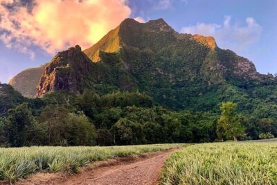 Private Day Trip Hike and Boat in Moorea