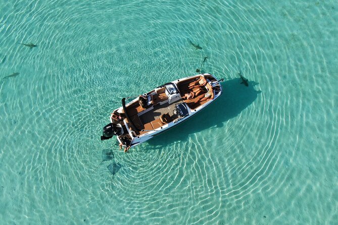 Private Day Trip Hike and Boat in Moorea - Cook Bay and Opunohu Bay from the water