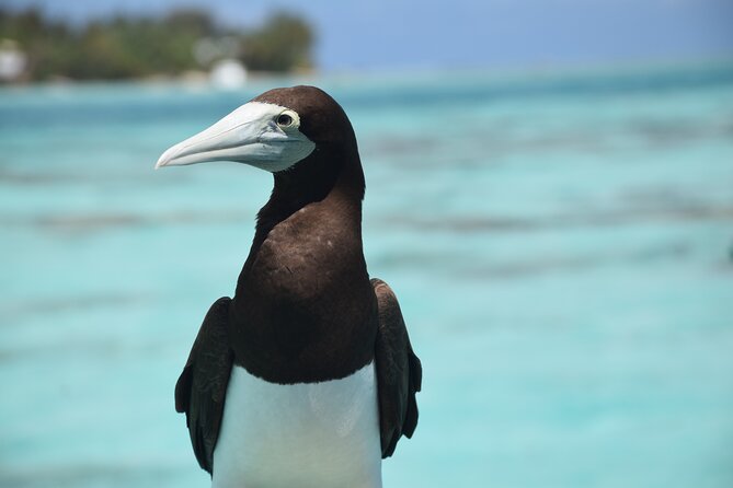 Private Day Trip Hike and Boat in Moorea - Is $1,822 a fair price?