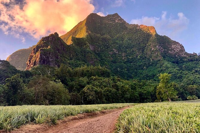 Private Day Trip Hike and Boat in Moorea - The 3 Pinus ascent and the day’s physical demands