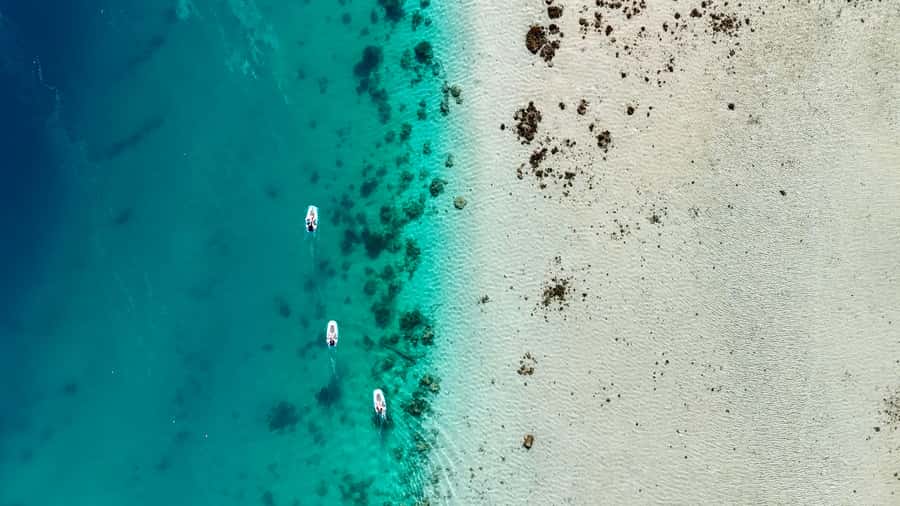 Private E-Board Tour of Moorea Lagoon - Snorkeling among coral and fish
