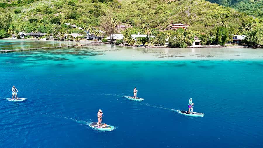 Private E-Board Tour of Moorea Lagoon - Who will enjoy this private lagoon tour