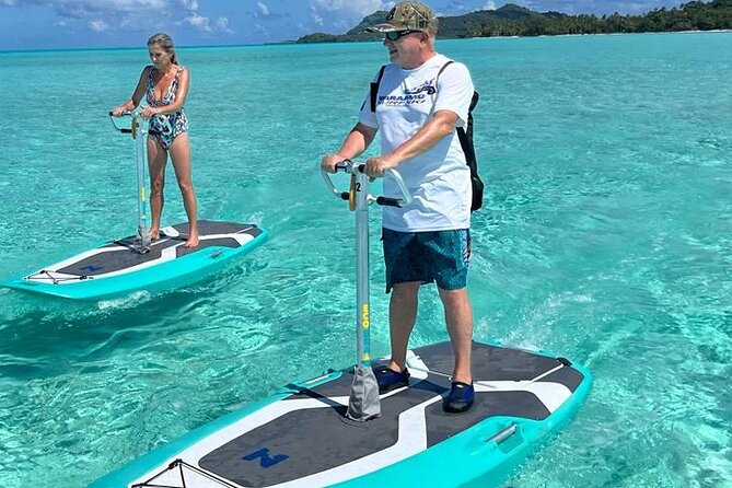 Private Electric Paddle Cruise in Bora Bora - Searching the shallow bay for marine life