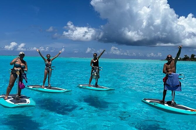 Private Electric Paddle Cruise in Bora Bora - Why the private format matters