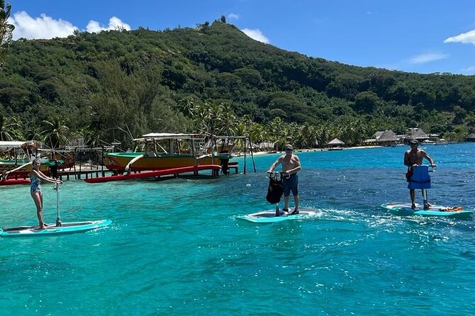 Private Electric Paddle Cruise in Bora Bora - Price, value, and what is included