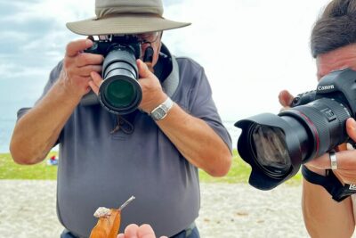 Private excursion to Moorea, photo tour & immersive discovery
