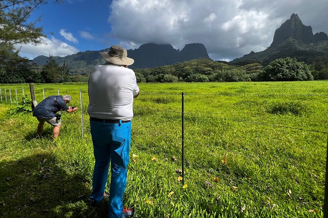 Private excursion to Moorea, photo tour & immersive discovery - Cook’s Bay and the view from the other side