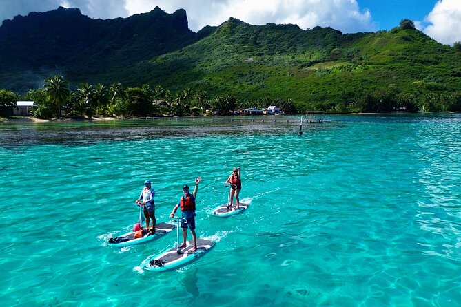 Private Excursion with E-Board in Moorea with snorkeling - Five things to know before you book