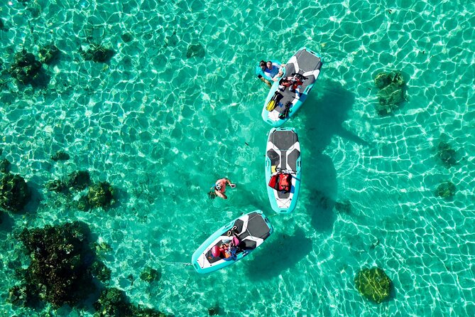 Private Excursion with E-Board in Moorea with snorkeling - Is $85.02 per person a good value?